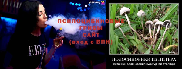 спиды Алзамай