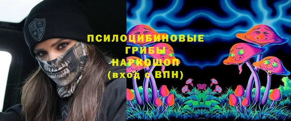 спиды Алзамай