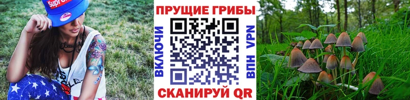 Галлюциногенные грибы GOLDEN TEACHER  Лаишево 